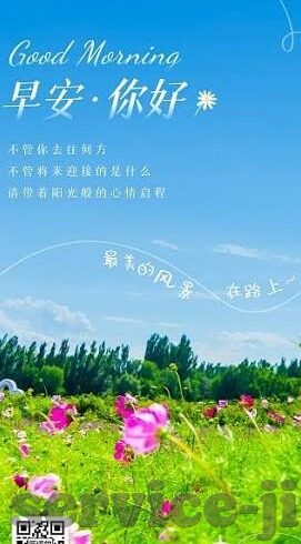 所有足球直播比分-足球直播比分，一场数字背后的激情盛宴与深度洞察