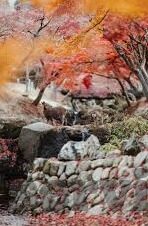 足球彩票18099比分-足球彩票18099期比分深度解析，冷门与热门的交织，如何拨开迷雾见真章？